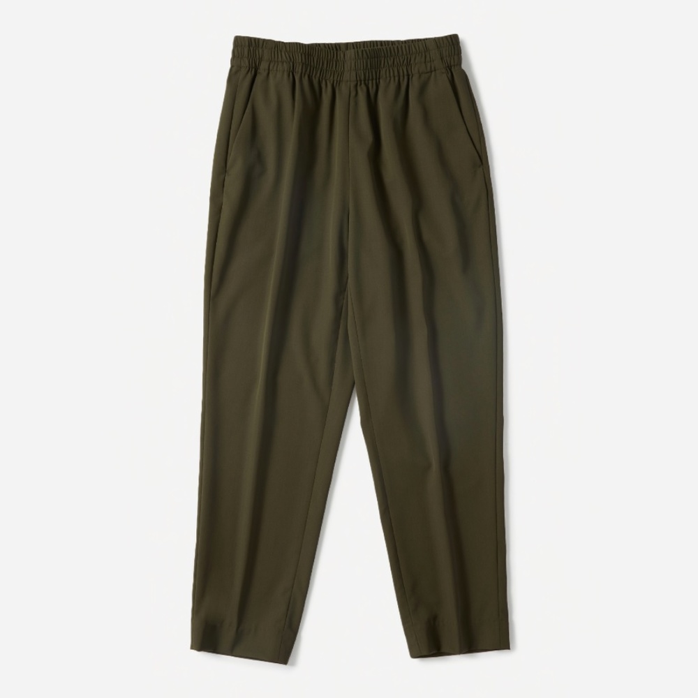 Everlane Italian Go-weave Easy Pant